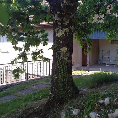 Ferienwohnung Cote Jardin Saint-Jean-en-Royans Exterior foto